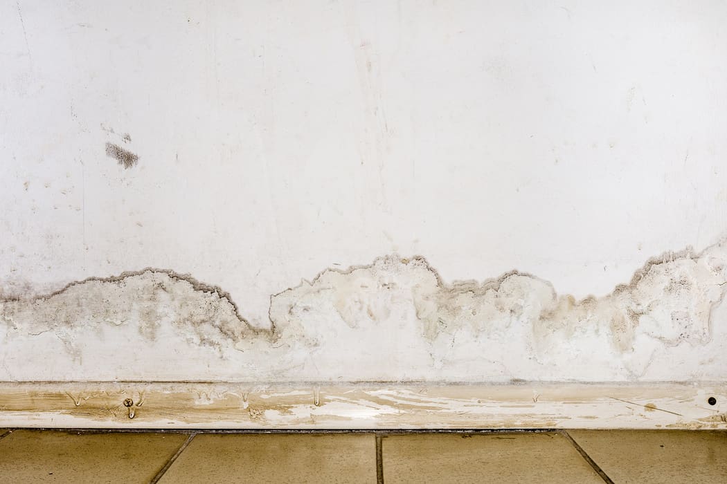 The Ultimate Homeowners’ Guide 10 Signs of Mold in Your Home Quick